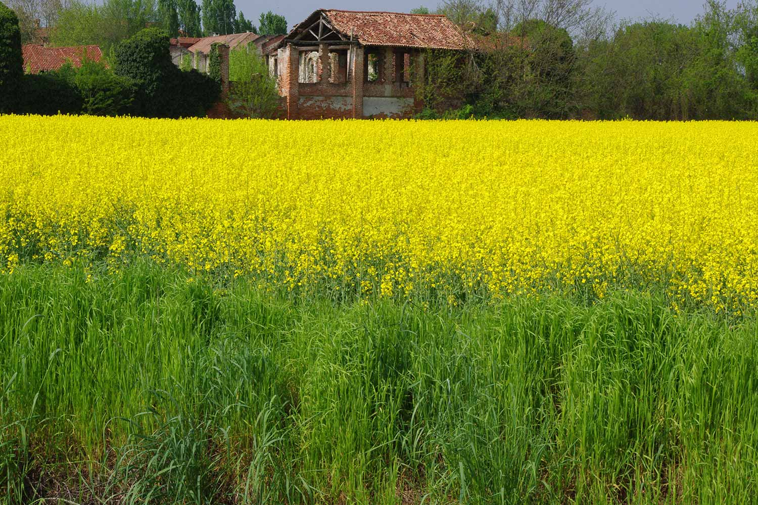 Memoria & progetto - Valle dei monaci